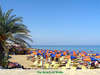 Cactus Beach Hotel 